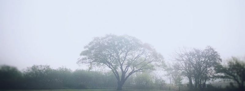 Wide shot of an empty, calm space ready for a workout session.